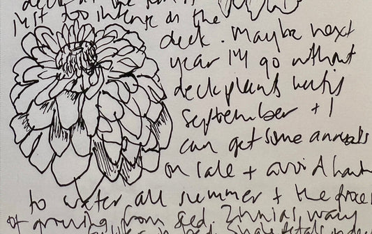 Garden Journal - Fall #1